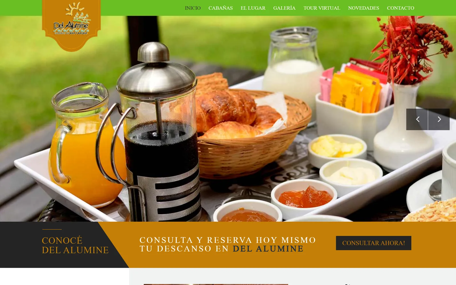 Sitio web de Del Alumine
