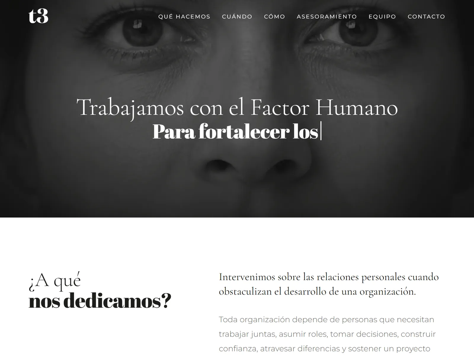 Sitio web de t3 · Factor Humano
